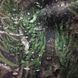 Пончо Camotec Pilgrim Tricot (Діброва)