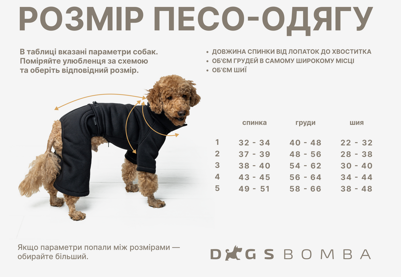 Зимний комбинезон для такс-девочек Dogs Bomba мятный RT-33, р. 1, ОШ 22-32 см, ОГ 40-48 см, ДС 32-34 см