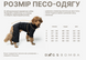 Зимний комбинезон для такс-девочек Dogs Bomba мятный RT-33, р. 1, ОШ 22-32 см, ОГ 40-48 см, ДС 32-34 см