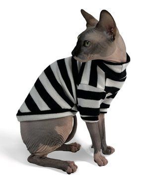 Светр для котів Dogs Bomba смугастий SC-18, р. 5, ОГ 42-50 см, ДС 37-41 см