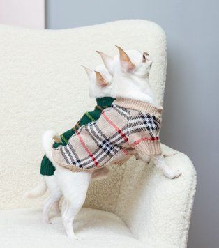 Светр для собак Dogs Bomba в'язаний Burberry беж Y-365, р. 1, ОШ 14-24 см, ОГ 26-32 см, ДС 21-24 см