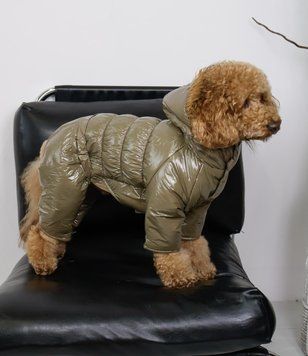Зимовий комбінезон для собак Dogs Bomba лакований тауп A-82, р. 4, ОШ 22-32 см, ОГ 38-46 см, ДС 29-31 см