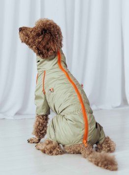 Дождевик для такс Dogs Bomba кант олива MT-28, р. 2, ОШ 35-42 см, ОГ 49-55 см, ДС 38-40 см