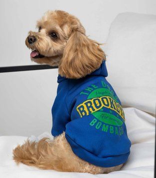 Толстовка для собак Dogs Bomba Brooklyn синяя Y-341, р. 6, ОШ 28-36 см, ОГ 42-48 см, ДС 33-37 см