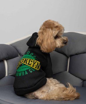 Толстовка для собак Dogs Bomba Brooklyn чорна Y-342, р. 2, ОШ 20-26 см, ОГ 28-36 см, ДС 26-28 см