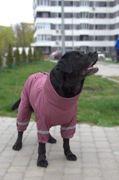 Дощовик для великих собак Dogs Bomba сливовий MB-11, р. 10, ОШ 44-54 см, ОГ 72-82 см, ДС 52-55 см
