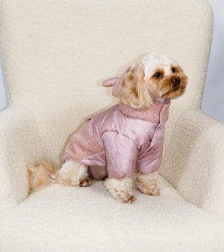 Куртка для собак Dogs Bomba Teddy пудра K-97, р. 2, ОШ 16-26 см, ОГ 26-32 см, ДС 25-28 см