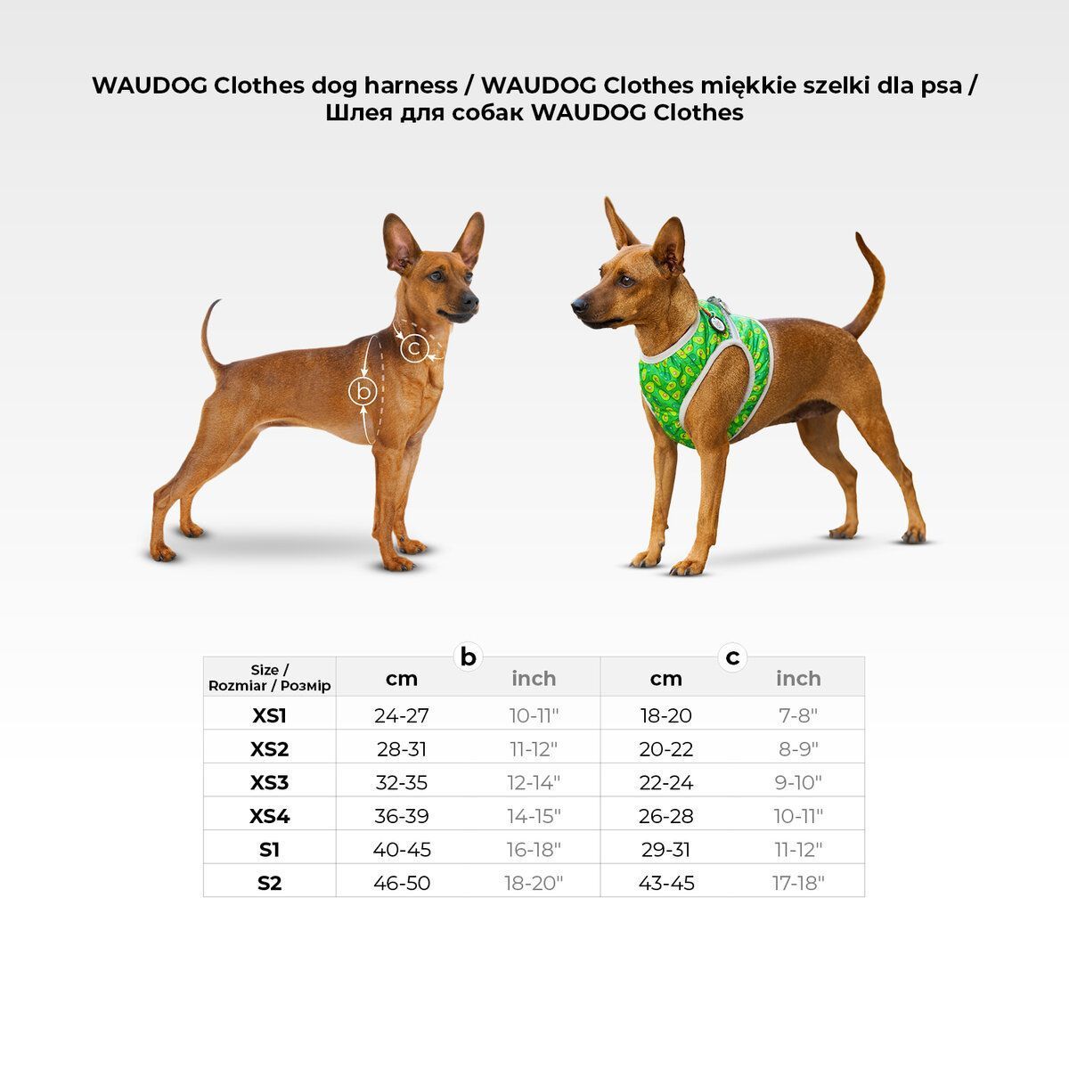 Шлея для собак м'яка WAUDOG Clothes з QR паспортом, малюнок "Бетмен комікс", XS2, В 28-31 см, С 20-22 см