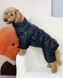 Зимовий комбінезон для собак Dogs Bomba Comfort NEW чорний R-68, р. 2, ОШ 18-28 см, ОГ 28-34 см, ДС 26-28 см