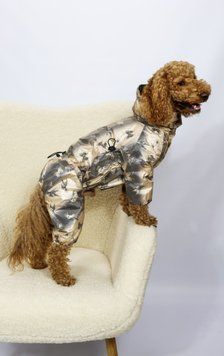 Дощовик для собак Dogs Bomba з фіксаторами butterflies M-133, р. 2, ОШ 18-28 см, ОГ 32-42 см, ДС 24-29 см