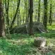 Маскировочная сетка 6&times;4 м | Летний Мультикам
