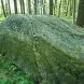 Маскировочная сетка 6&times;4 м | Летний Мультикам
