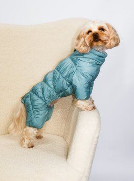 Зимовий комбінезон для собак Dogs Bomba Comfort м'ята R-64, р. 1, ОШ 10-20 см, ОГ 22-28 см, ДС 20-22 см