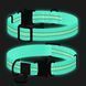 Ошейник для собак нейлоновый WAUDOG Nylon с QR паспортом, светонакопительный/светоотражающий, металлическая пряжка-фастекс, Ш 25 мм, Дов 33-49 см голубой