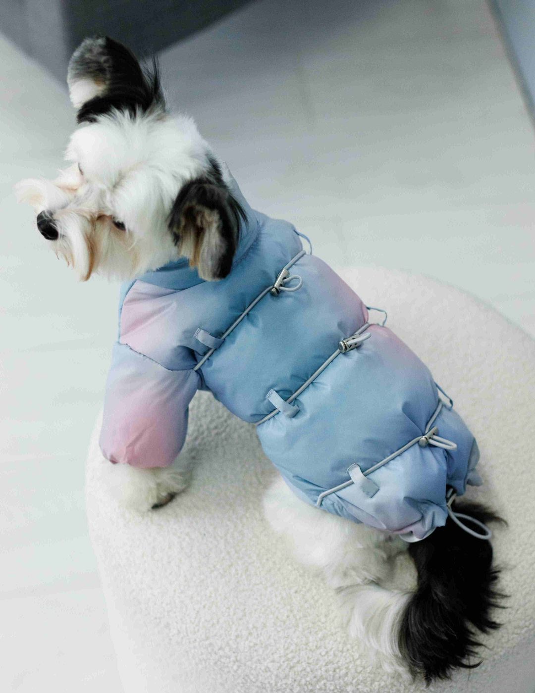 Куртка для собак Dogs Bomba с фиксаторами тай-дай голубая K-83, р. 2, ОШ 15-25 см, ОГ 24-34 см, ДС 25-28 см