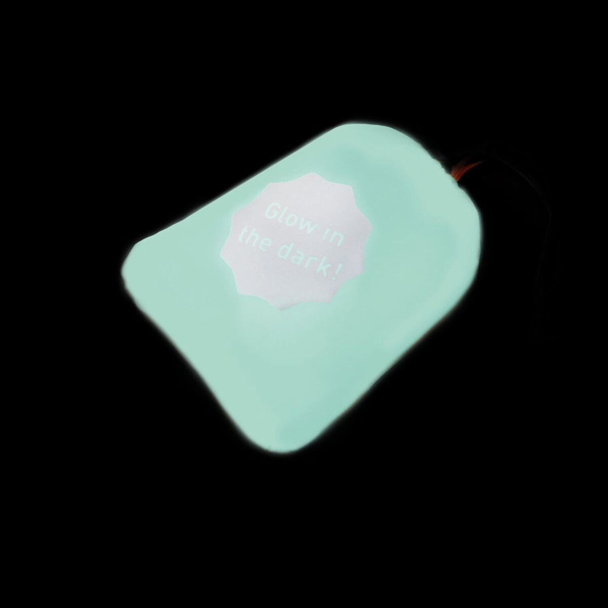Курточка для собак AiryVest Lumi двухсторонняя, светится в темноте, размер XS 25, салатово-голубая